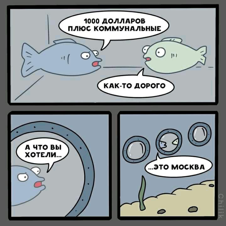 1000 ДОЛЛАРОВ ПЛЮС КОММУНАЛЬНЫЕ КАК-ТО ДОРОГО А ЧТО ВЫ ХОТЕЛИ... ...ЭТО МОСКВА Chilik