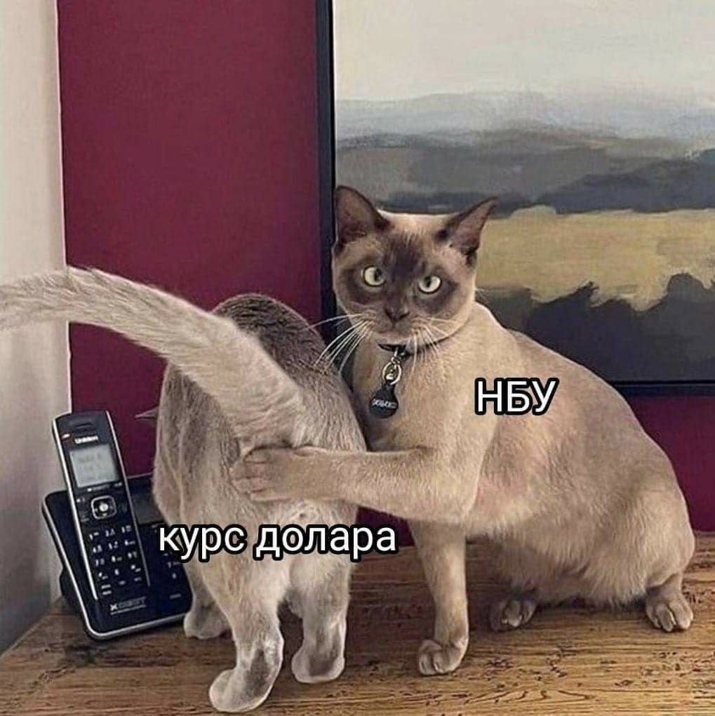 курс долара НБУ